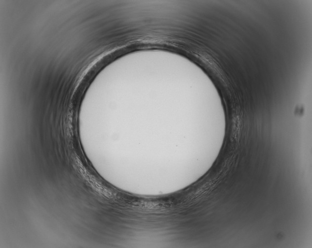 X0000115480976200912040949
