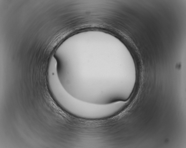 X0000115480977200912040948