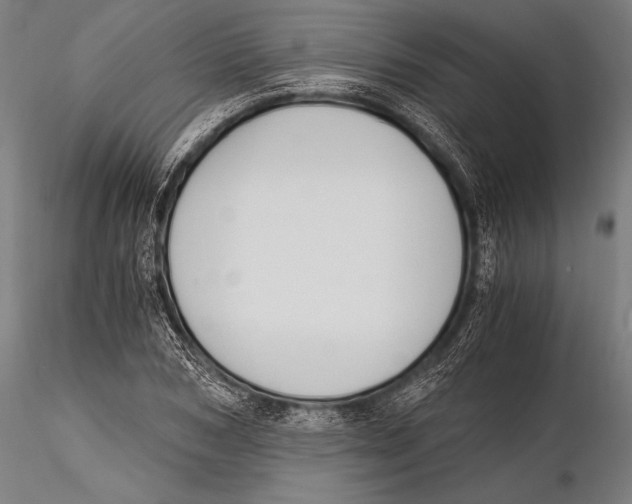 X0000115480978200912040948