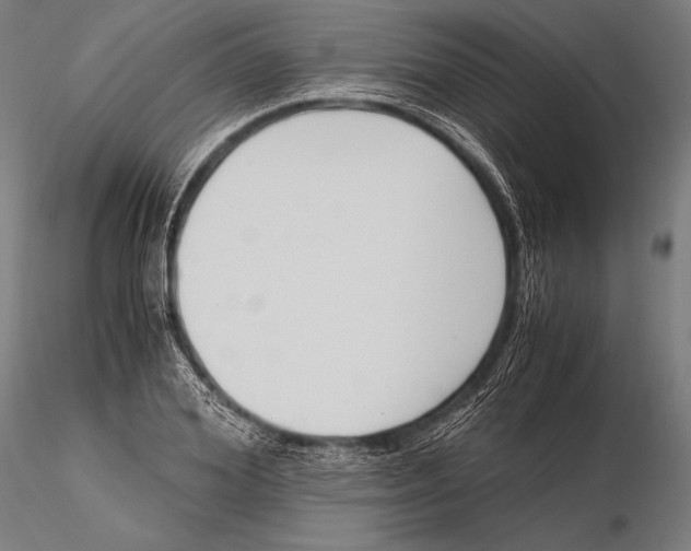 X0000115480980200912040948