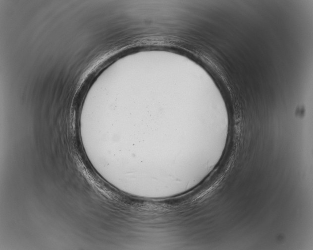 X0000115480981200912040948