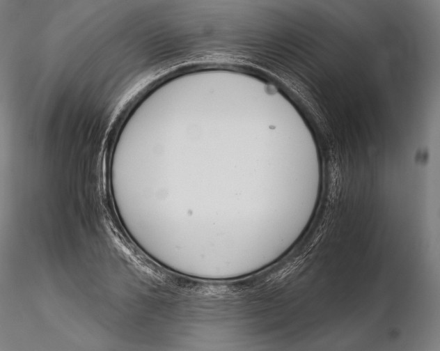 X0000115480982200912040948