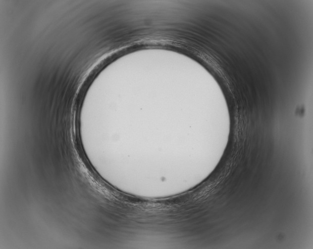 X0000115480984200912040948