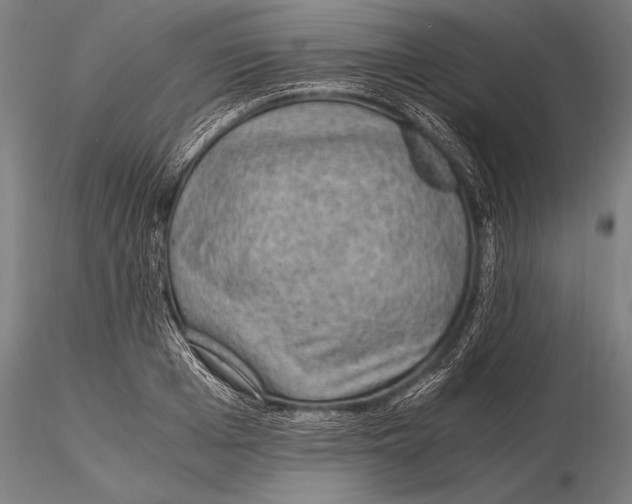 X0000115480985200912040948
