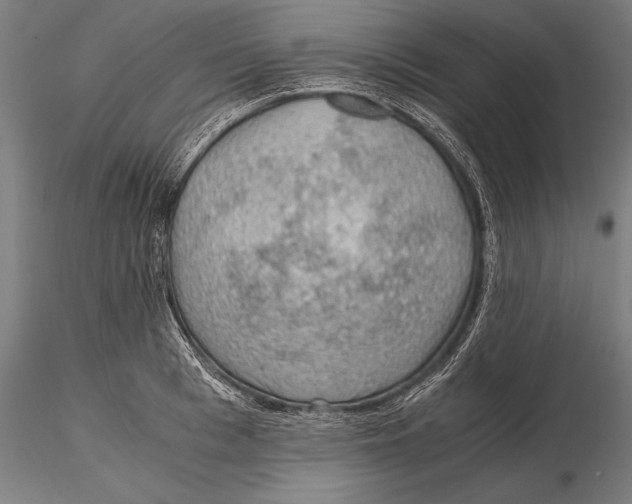X0000115480993200912040948