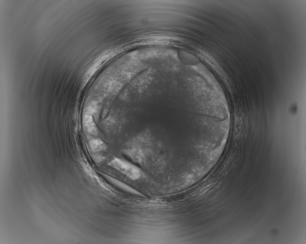 X0000115480994200912040948