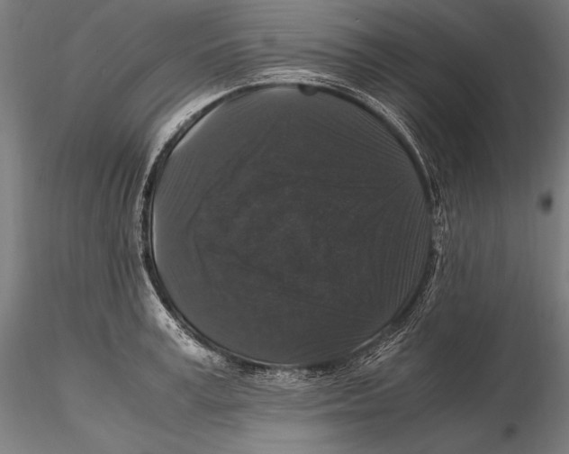 X0000115480995200912040948