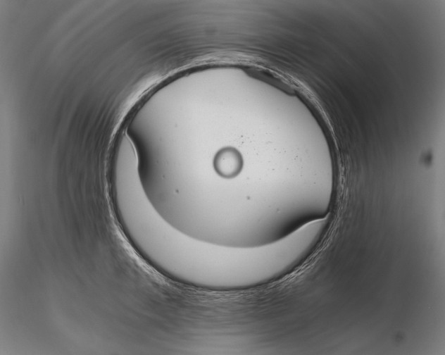 X0000115480997200912040948