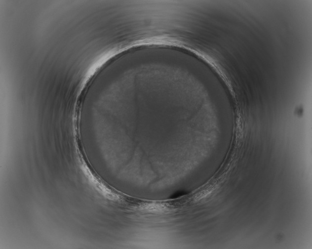 X0000115480998200912040948