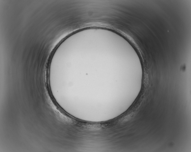 X0000115480999200912040948