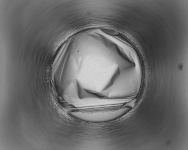 X0000115481001200912040948