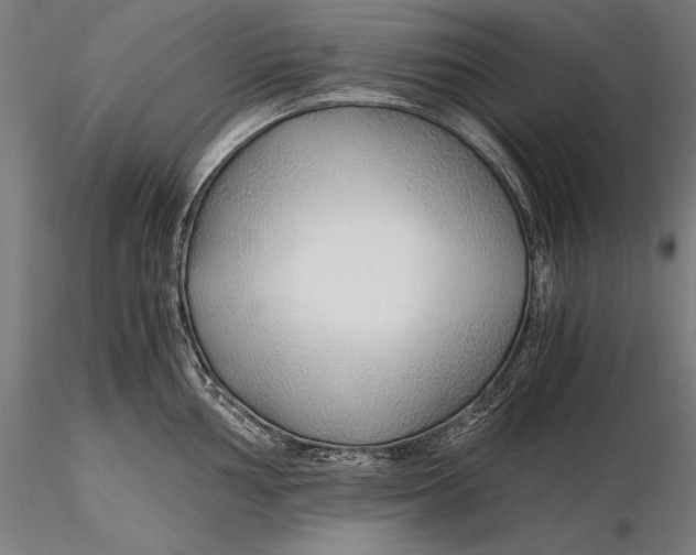 X0000115481002200912040948