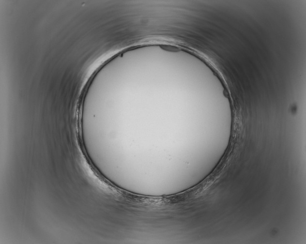 X0000115481003200912040948