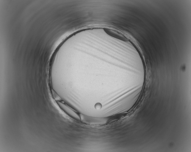 X0000115481005200912040948