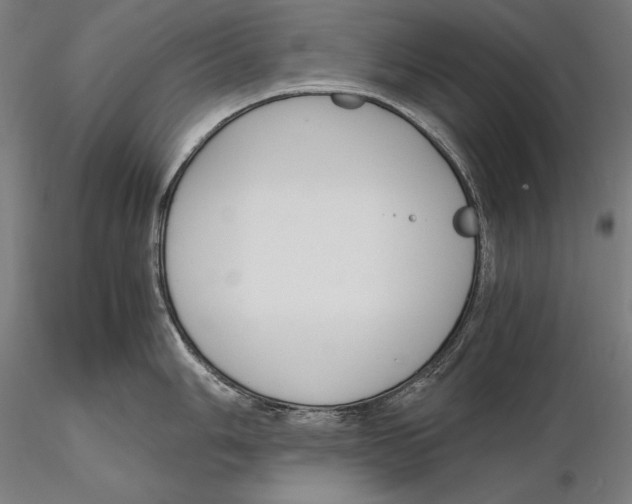 X0000115481006200912040948