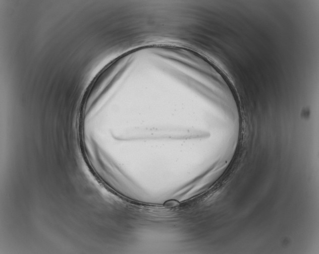 X0000115481007200912040948
