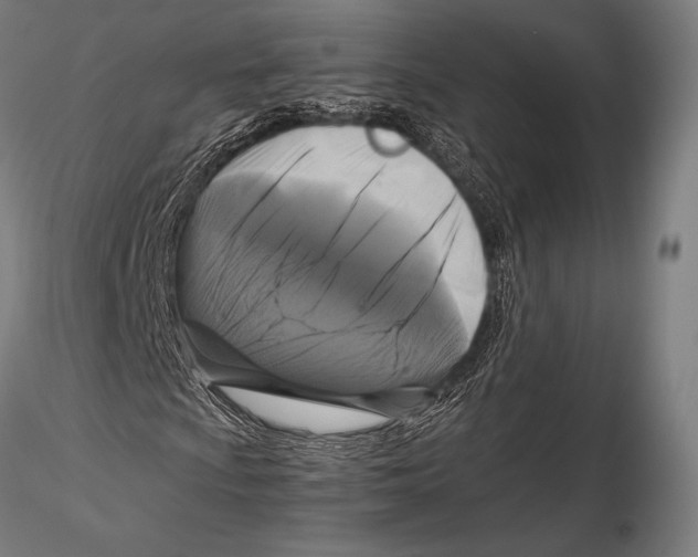 X0000115481009200912040947