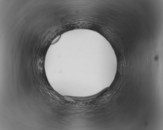 X0000115481010200912040947