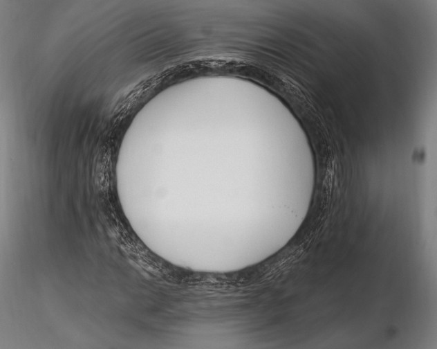 X0000115481014200912040947