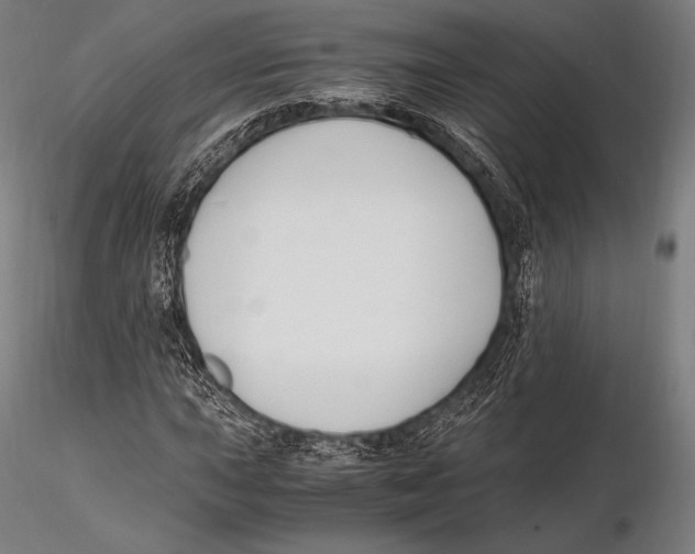 X0000115481015200912040947