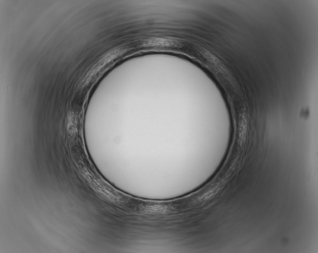 X0000115481017200912040947