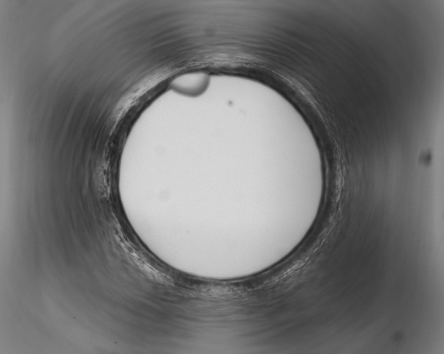 X0000115481018200912040947