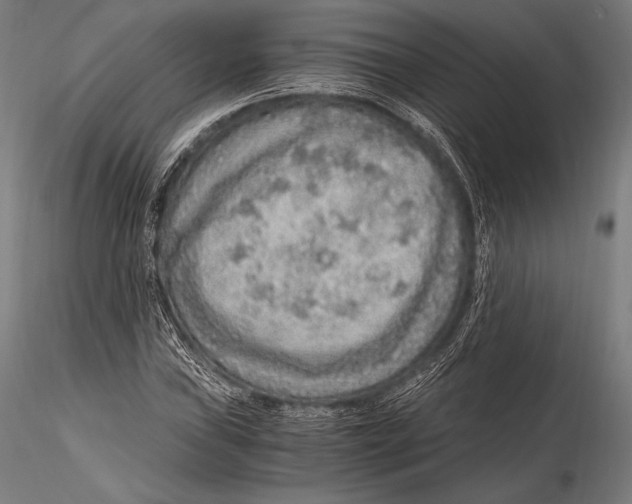 X0000115481019200912040947
