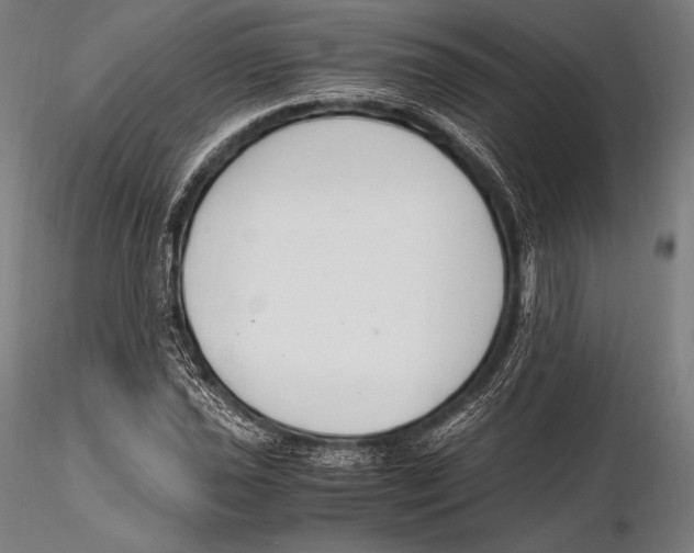 X0000115481021200912040947