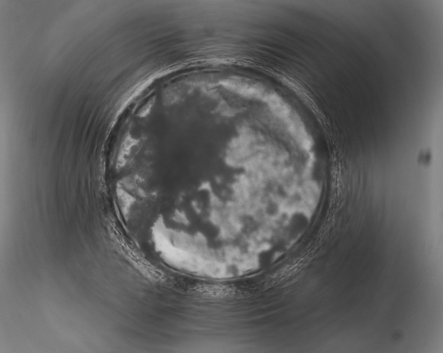 X0000115481023200912040947