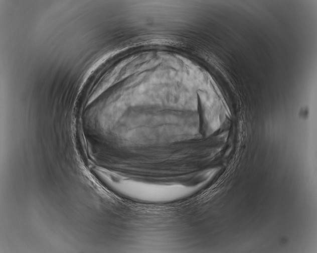 X0000115481024200912040947
