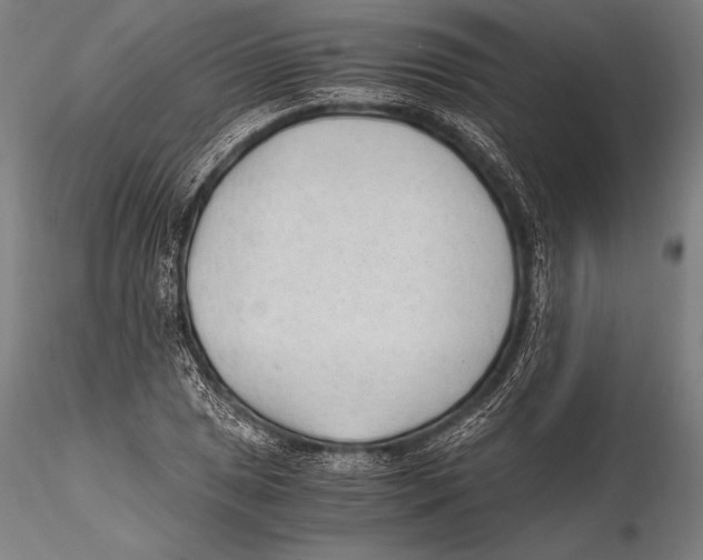 X0000115481025200912040947
