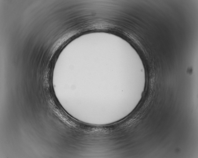 X0000115481026200912040947