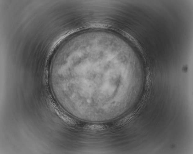 X0000115481027200912040947