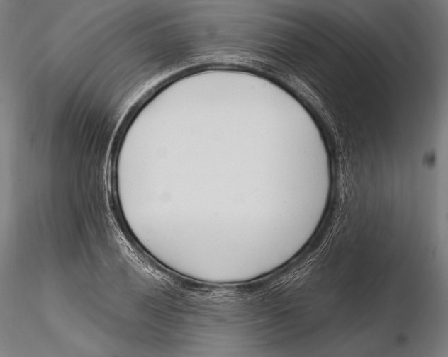 X0000115481028200912040947