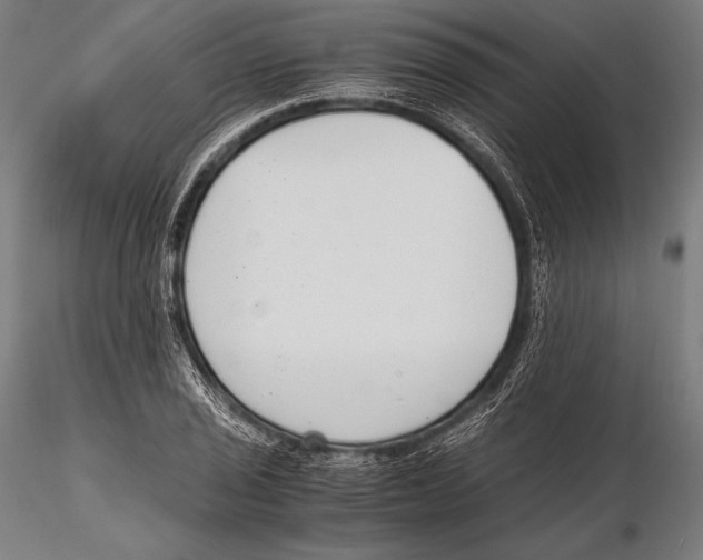 X0000115481029200912040947