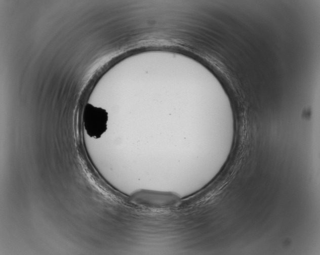 X0000115481030200912040947