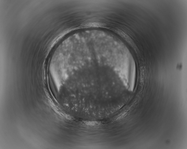 X0000115481031200912040947