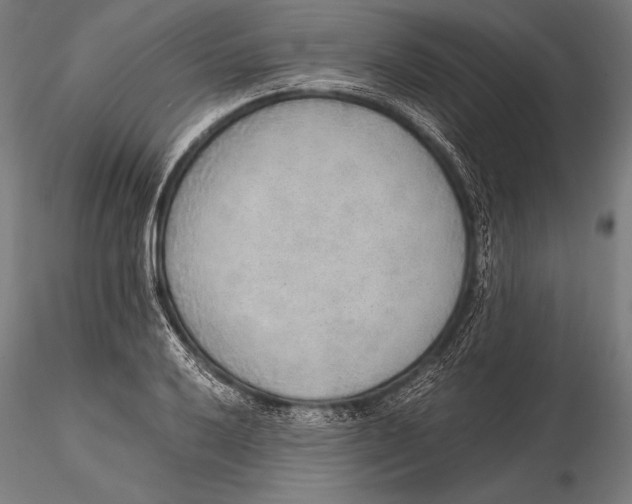 X0000115481032200912040947
