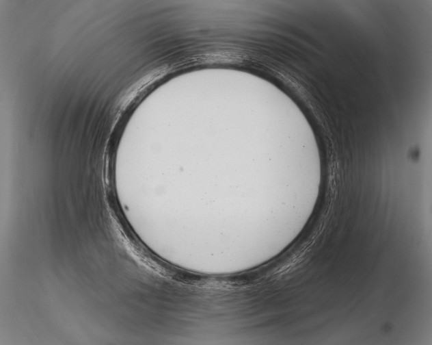 X0000115481034200912040947