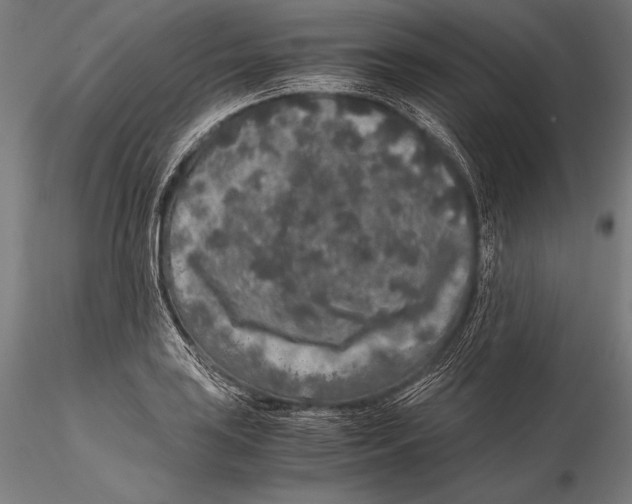 X0000115481035200912040947