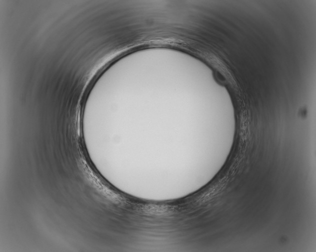 X0000115481036200912040947