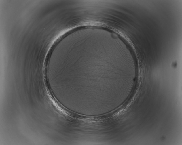 X0000115481037200912040947