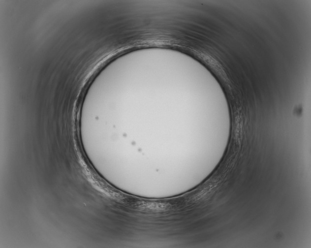 X0000115481039200912040947
