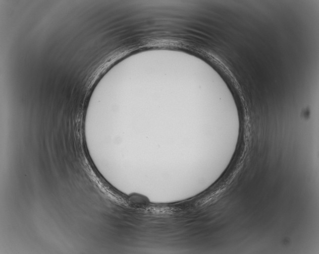 X0000115481041200912040948