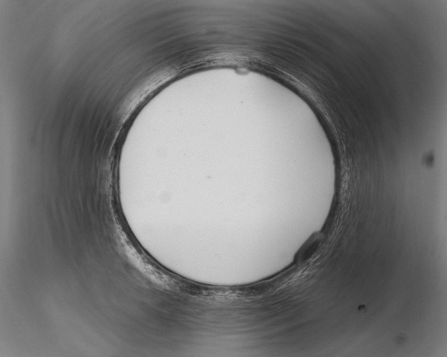 X0000115481042200912040948