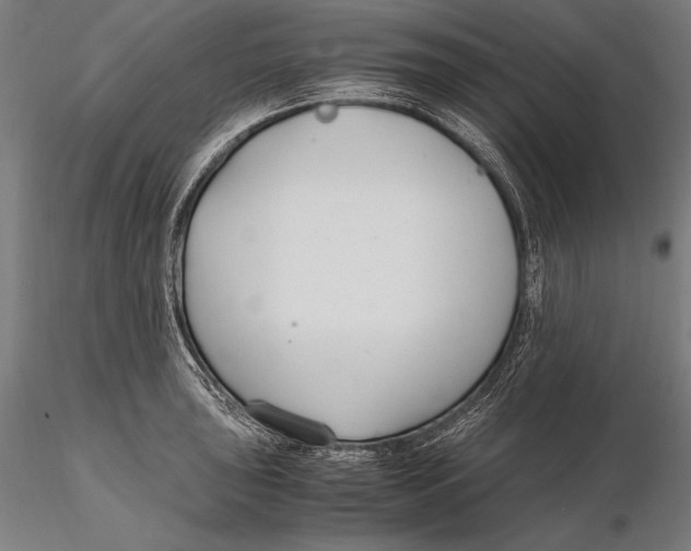 X0000115481043200912040948