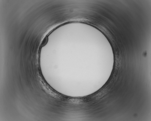 X0000115481044200912040948