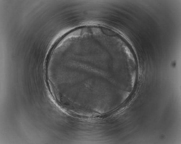 X0000115481045200912040948