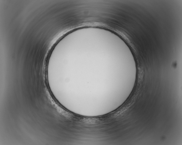 X0000115481046200912040948