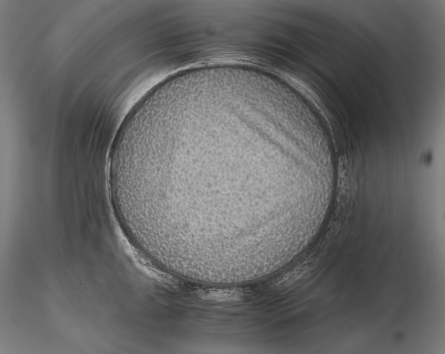 X0000115481047200912040948